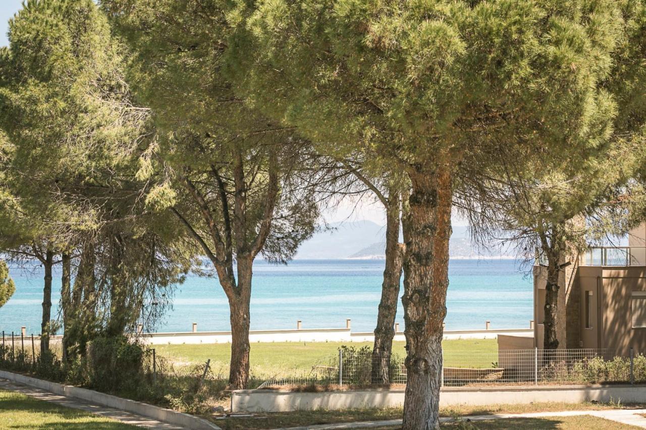 #Flh - Amalthia & Αthena Beachfront Houses In Pefkohori Luaran gambar